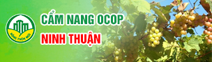 http://dulieuht.ninhthuan.gov.vn/thongtin/nCoV/Thang-12/NINHTHUANCAmnangOCOP2020_201208_094359.pdf